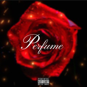 $7TE "Perfume 🫧"