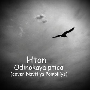 Одинокая птица (cover Наутилус Помпилиус)