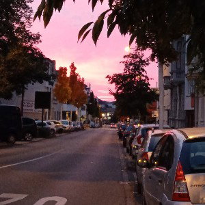 Gib nicht auf