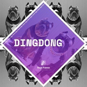 DingDong