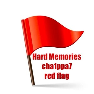 red flag (feat. cha1ppa7)