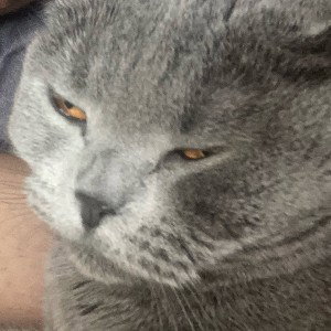 С детства