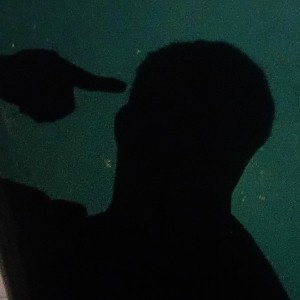 DECLARO ...profugo..freestyle