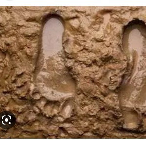 Jony Sala - LoDo #1