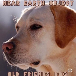 Old friend's dog 