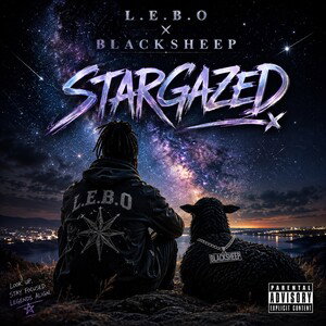 stargazed 