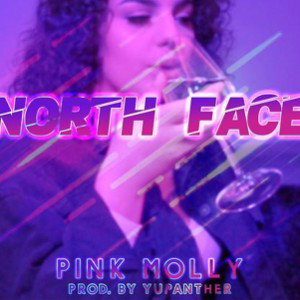 North Face