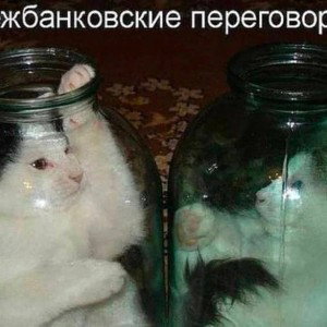 кутп