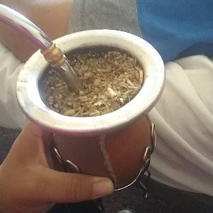 UN PLATO DE COMIDA