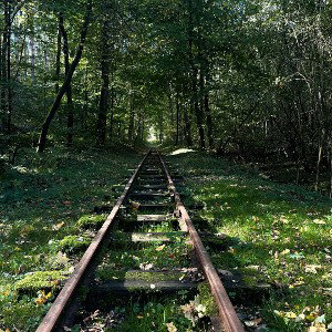 Ein weiter Weg