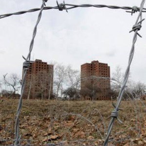The Projects, Boy