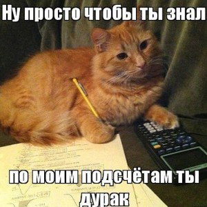 По своему дурак