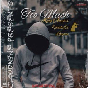 Too Much 