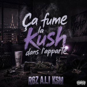 Ça fume la kush dans l'apparte.. R6Z A.L.I KSM