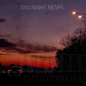SAD NIGHT NOVEL