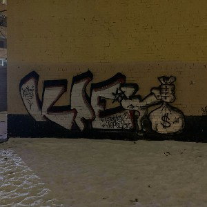 3008шкб втроём