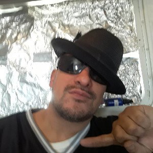kilo d freestyle