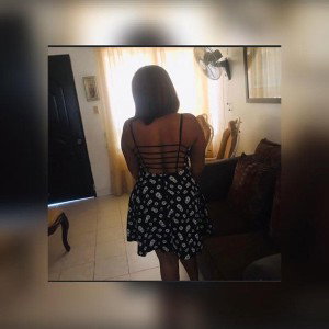 pal Party 