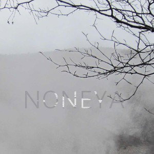 Noneya