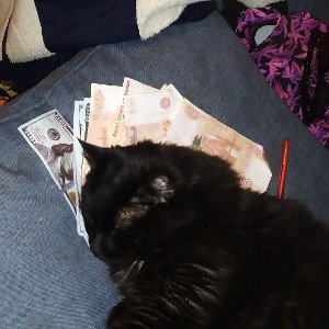 ACID_CAT feat. Flexo Evil