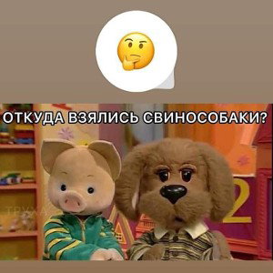 Бавовна