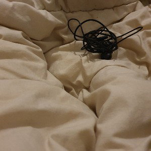 content 