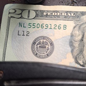 in love with cash