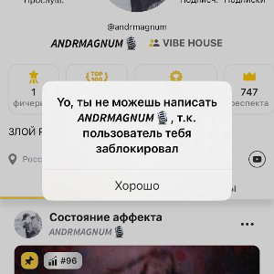 160GANG - ANDRMAGNUM DISS