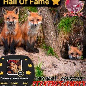 Hall of Fame (freestyle)