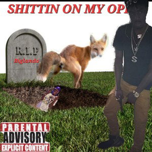 Shittin on my opps