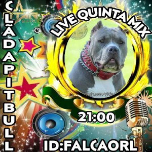 pitbull tá com raiva