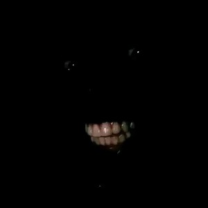 PLUG89 FT DIABLO__2EAZY_OFFICIAL AUDIO_PROD.PLUG89