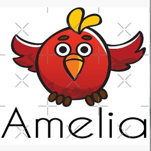 A Bird Called Amelia 