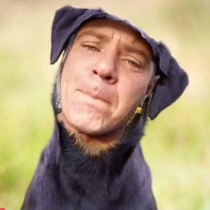 Shady Dogs Rotten Slopes
