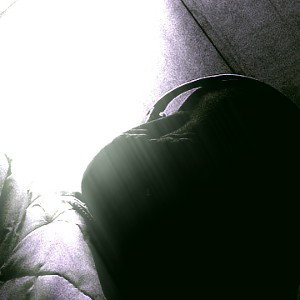 STYK - freestyle 