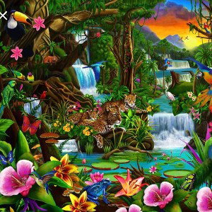 tropical forest 