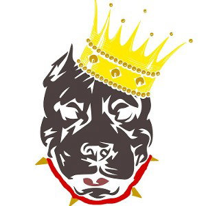 KING FREESTYLE