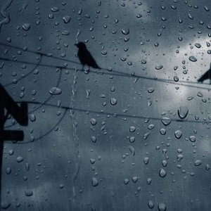 Rckboy - Rain