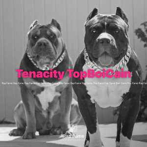 Tenacity TopBoiCain