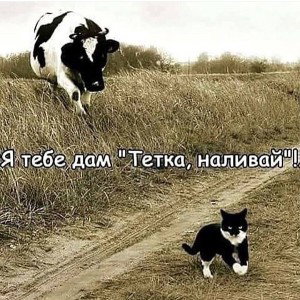 ласты склеем 