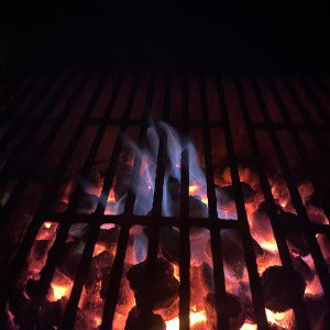 Fire Free