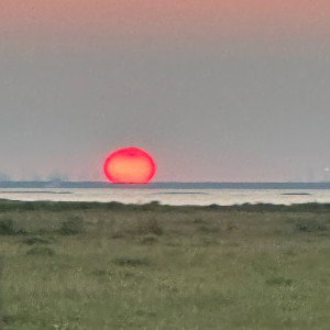 Sunset Flow