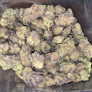 LOUDKUSH 