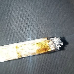 BLUNTED - hase mieft