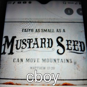 MUSTARD SEED ft. cboy