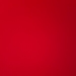 zoom in ft red team