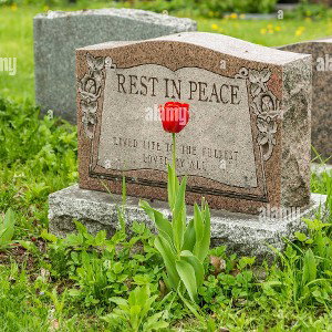 RIP