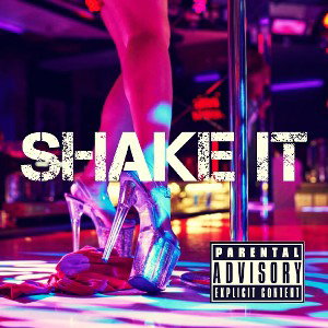 Sal7yn - Shake It