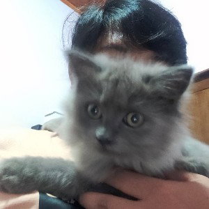 no name