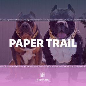 Paper Trail